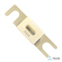 ANL-fuse 300A/80V (1 pc)