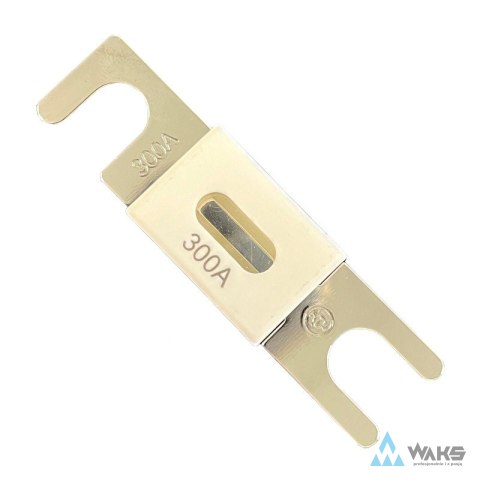 ANL-fuse 300A/80V (1 pc)