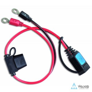 M6 eyelet connector (with 30A ATO fuse)